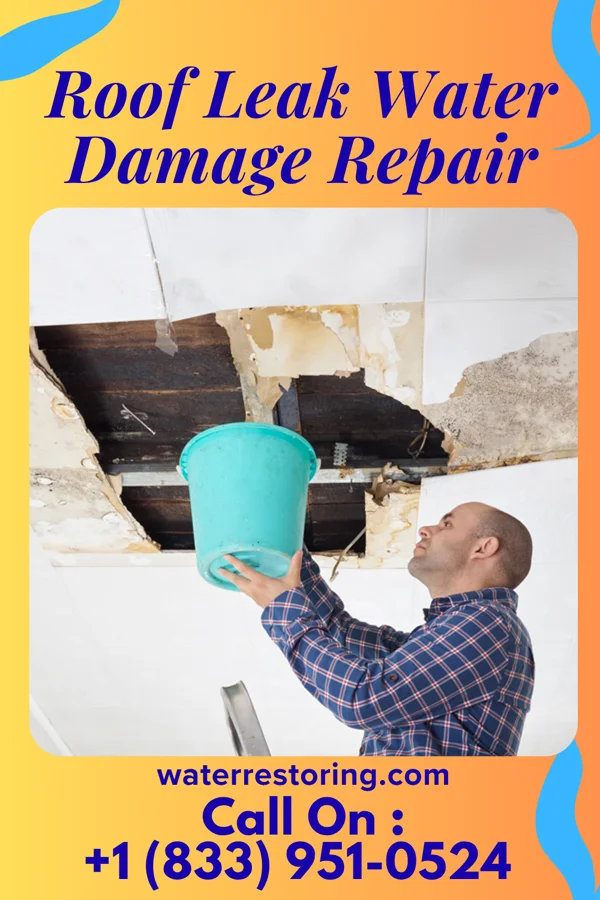 Roof Leak Water Damage Repair in Mound City, SD
